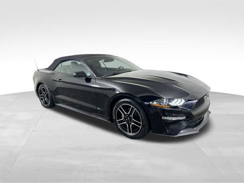 Used 2021 Ford Mustang Premium image 8