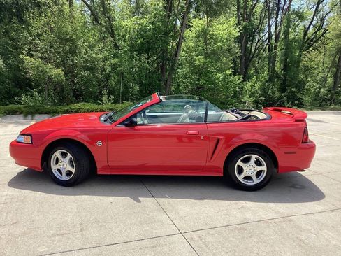 Used 2004 Ford Mustang Convertible RWD image 5