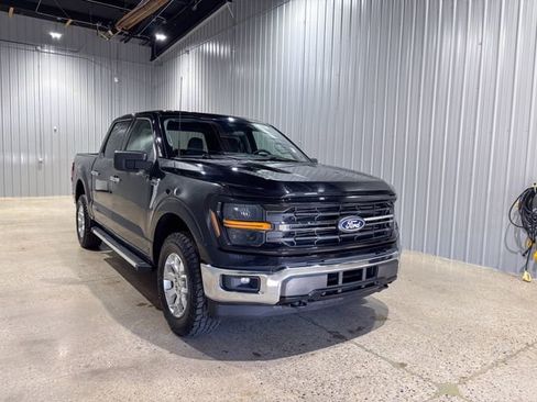 Used 2025 Ford F150 XLT w/ Equipment Group 301A Standard AWD/4WD image 8