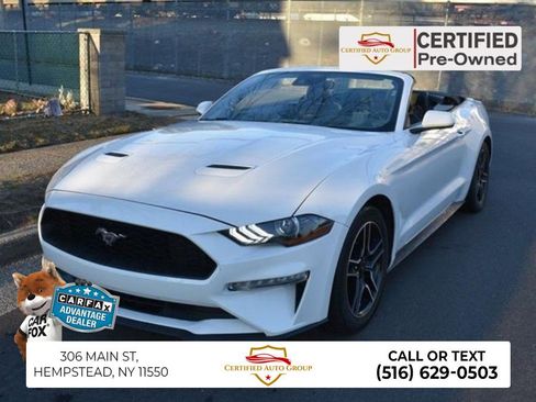 Used 2023 Ford Mustang Premium w/ Equipment Group 201A RWD image 1