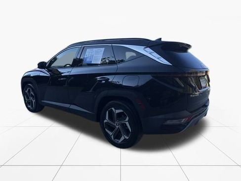 Used 2023 Hyundai Tucson Limited w/ Cargo Package image 6