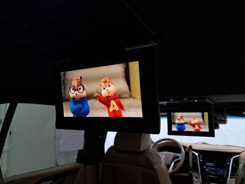 Used 2020 Cadillac Escalade ESV Platinum image 4