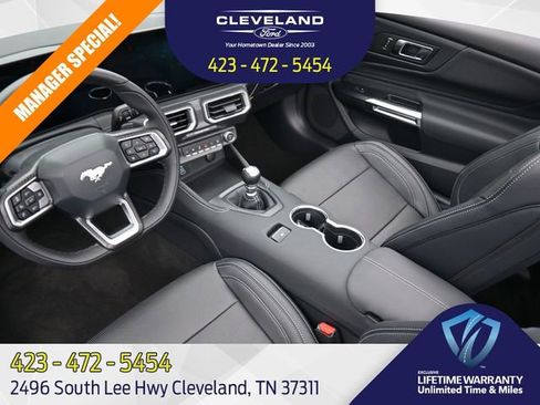 New 2025 Ford Mustang GT Premium image 24