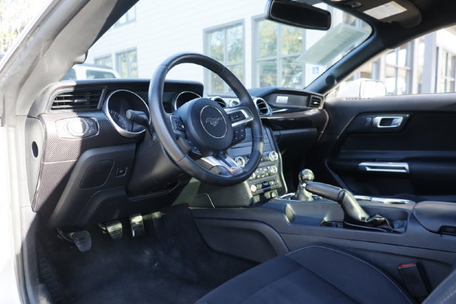 Used 2019 Ford Mustang GT w/ GT Performance Package RWD image 12
