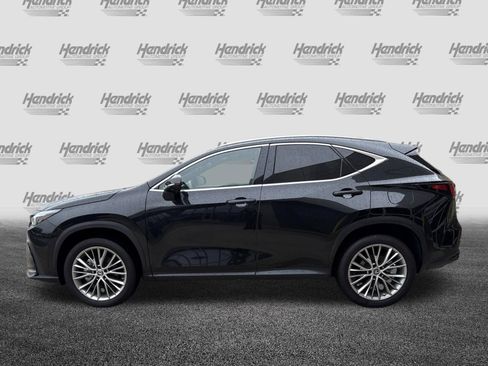 Used 2023 Lexus NX 350h AWD w/ Vision Package image 7