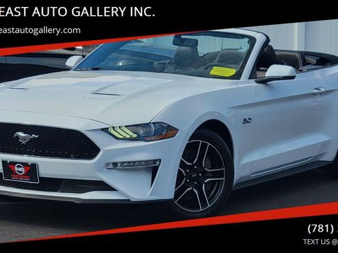 Used 2019 Ford Mustang GT Premium w/ Equipment Group 401A RWD image 1