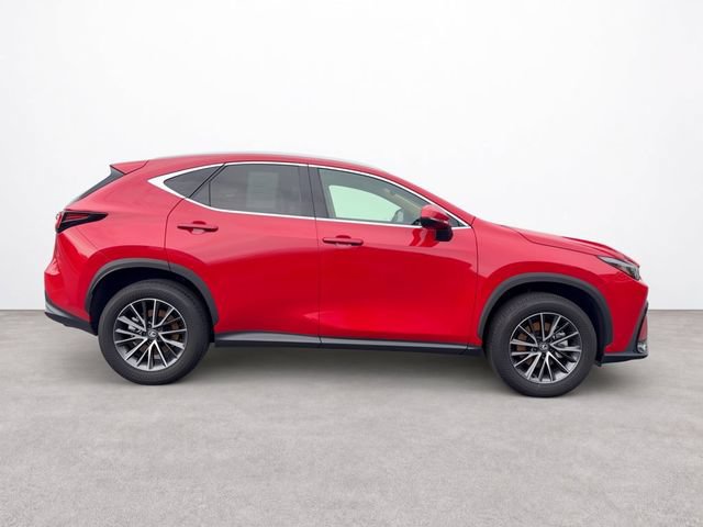 Used 2025 Lexus NX 250 FWD w/ Accessory Package (K3) image 6