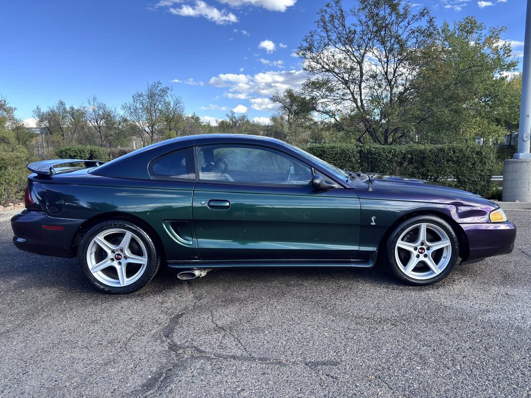 Used 1996 Ford Mustang Cobra RWD image 5