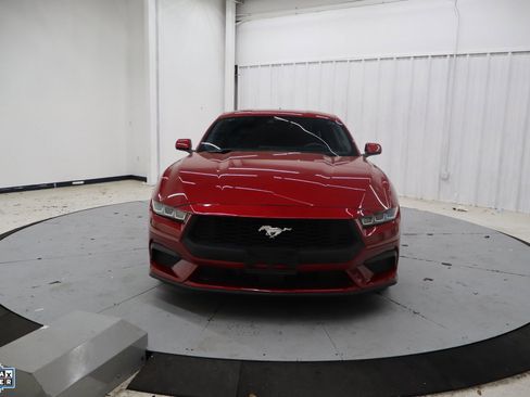 Used 2024 Ford Mustang Premium image 11