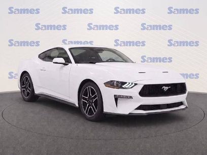 Certified 2019 Ford Mustang Coupe w/ Equipment Group 101A