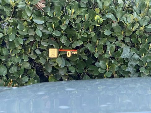 Used 2023 BMW 440i xDrive Coupe w/ M Carbon Exterior Package image 25