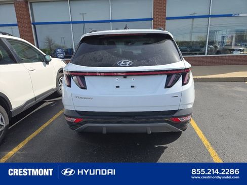Used 2023 Hyundai Tucson Limited AWD/4WD image 13