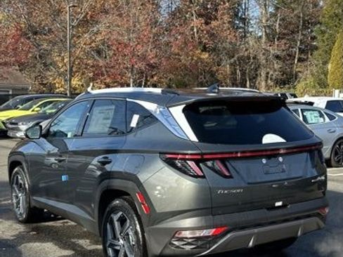 New 2024 Hyundai Tucson Limited image 5