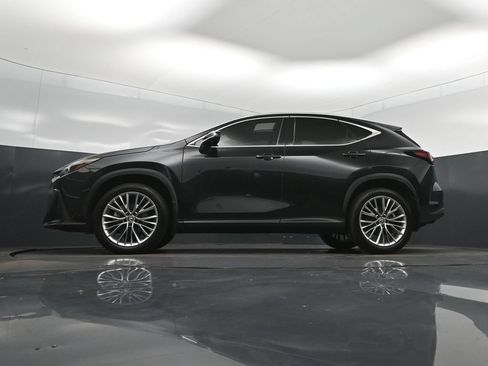 Certified 2025 Lexus NX 350 AWD w/ Premium Package image 39