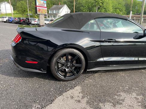 Used 2019 Ford Mustang GT Premium w/ Black Accent Package RWD image 8