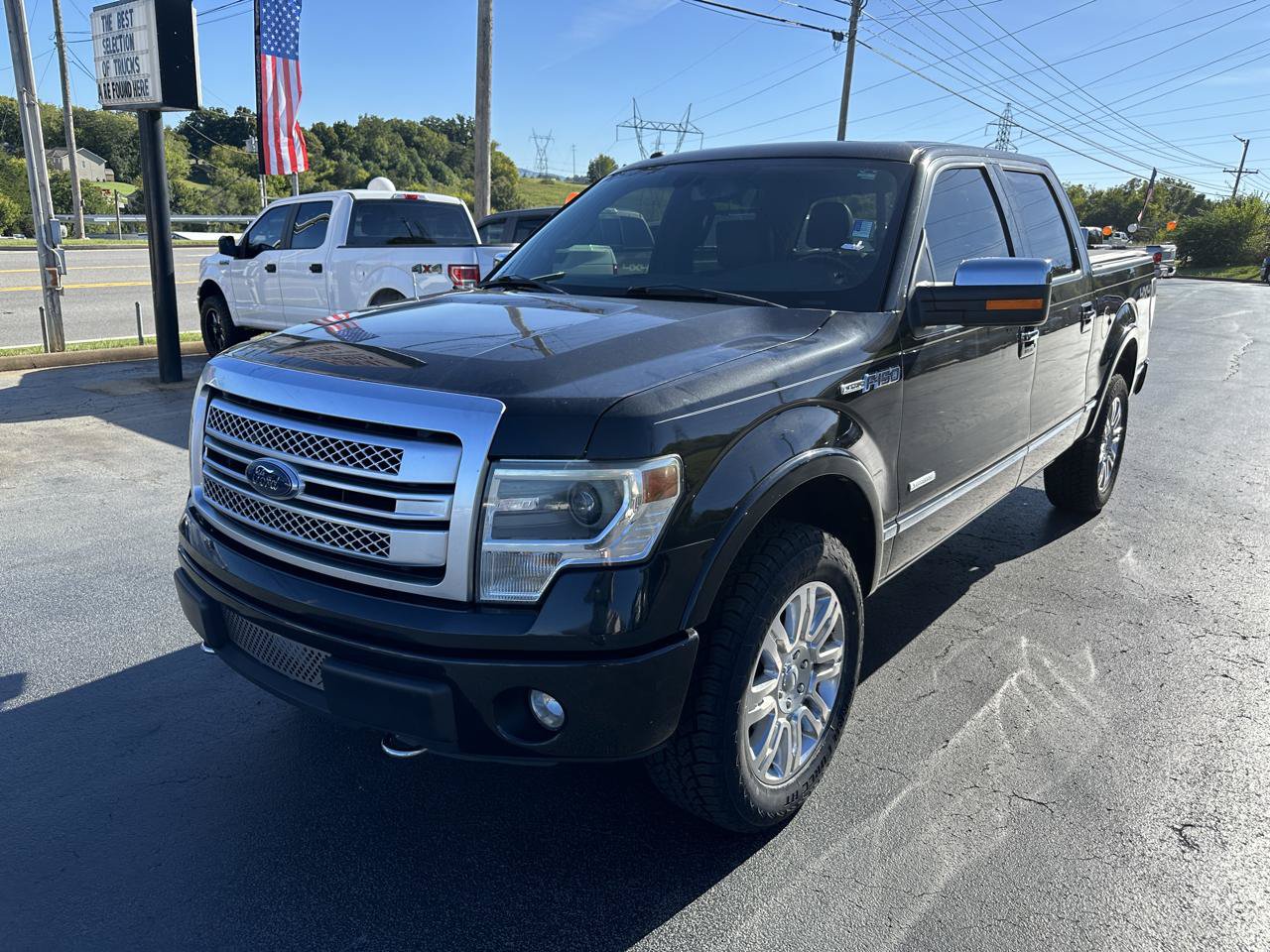 Used 2013 Ford F150 Platinum AWD/4WD image 8