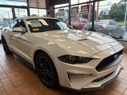 Used 2019 Ford Mustang Premium