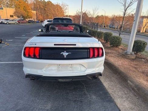 Used 2019 Ford Mustang Premium w/ Equipment Group 201A image 3