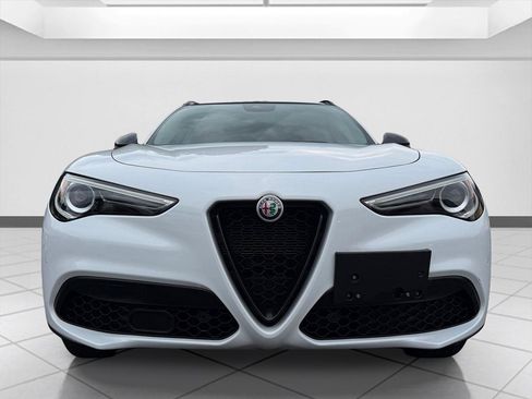 Used 2019 Alfa Romeo Stelvio Sport w/ Quick Order Package 22J Sport AWD/4WD image 8