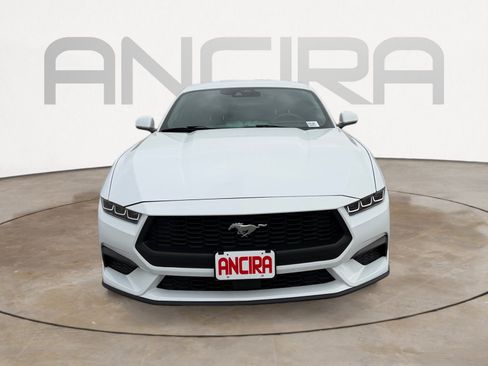 Used 2024 Ford Mustang Coupe RWD image 5