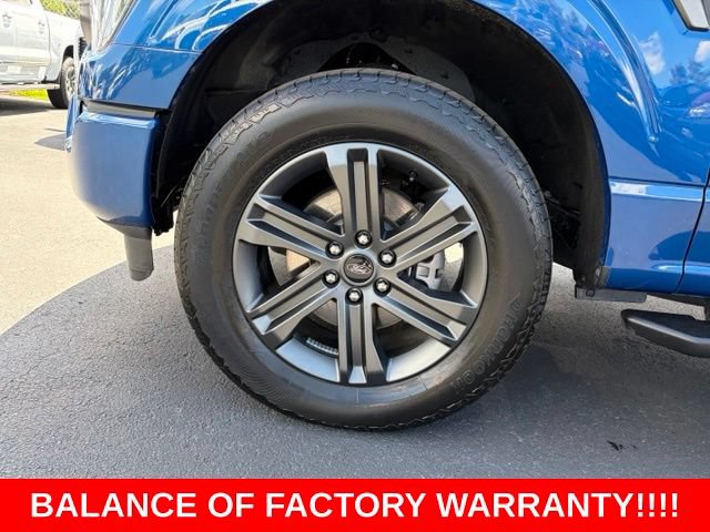Used 2023 Ford F150 XLT w/ Equipment Group 302A High AWD/4WD image 9
