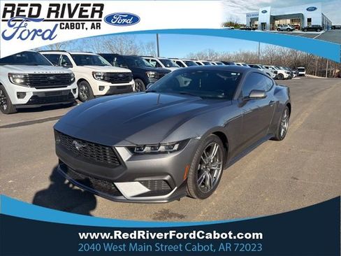 Used 2025 Ford Mustang Premium w/ Wheel & Stripe Package image 1
