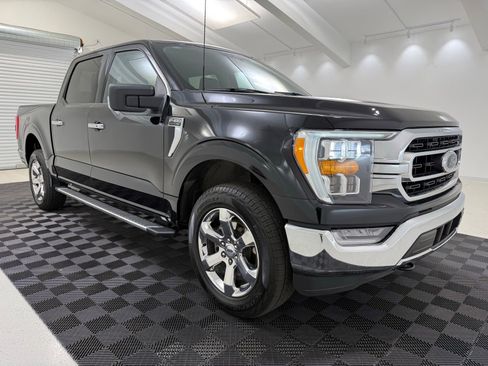 Used 2023 Ford F150 XLT w/ Equipment Group 302A High AWD/4WD image 1