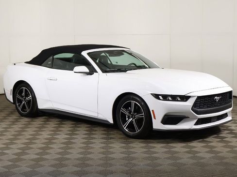 Used 2024 Ford Mustang Premium image 2