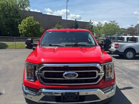 Used 2023 Ford F150 XLT w/ Equipment Group 302A High AWD/4WD image 3