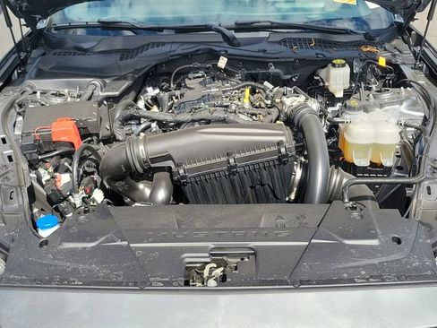 Used 2026 Ford Mustang Coupe RWD image 21
