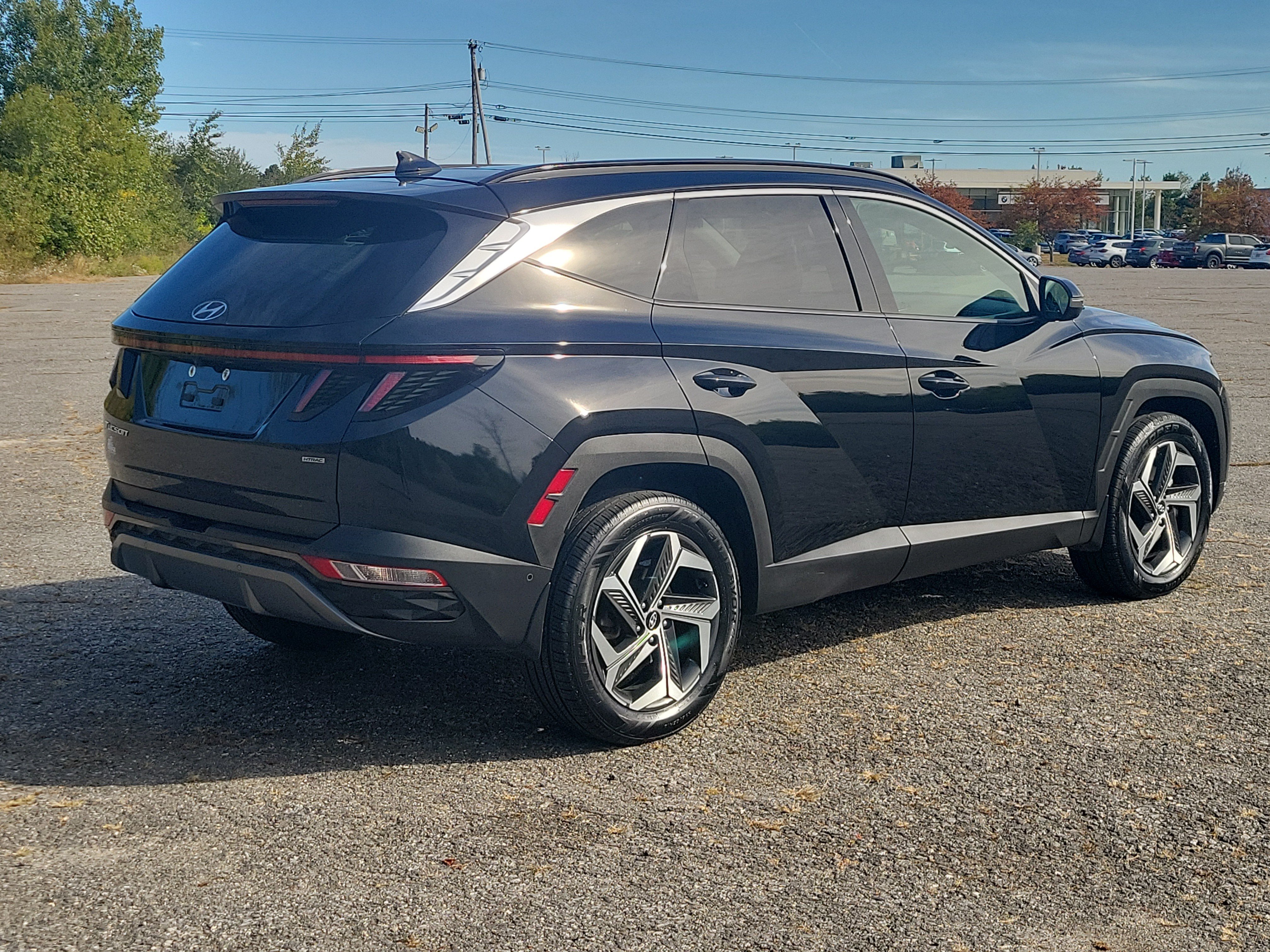 Used 2024 Hyundai Tucson Limited AWD/4WD image 5