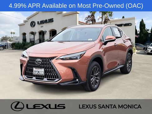 Used 2025 Lexus NX 350 AWD w/ Cold Area Package image 1