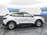 New 2025 Ford Escape Active w/ Tech Pack #1 image 6