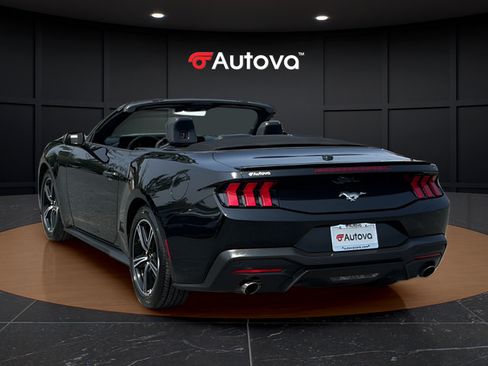 Used 2025 Ford Mustang Premium RWD image 3
