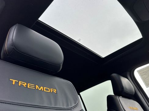 New 2025 Ford Expedition Tremor image 19