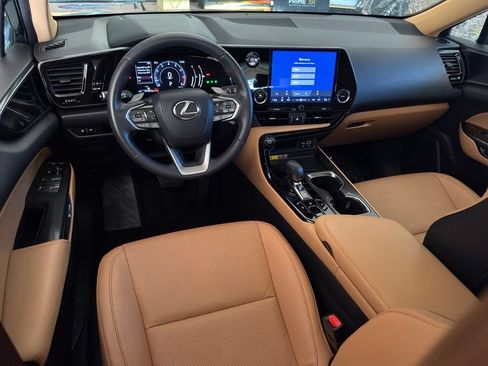 Certified 2025 Lexus NX 250 FWD w/ Cold Area Package image 14