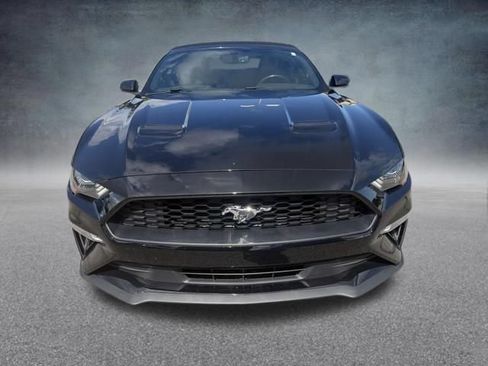 Used 2019 Ford Mustang Premium RWD image 3