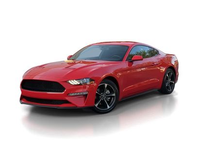 Used 2019 Ford Mustang Coupe