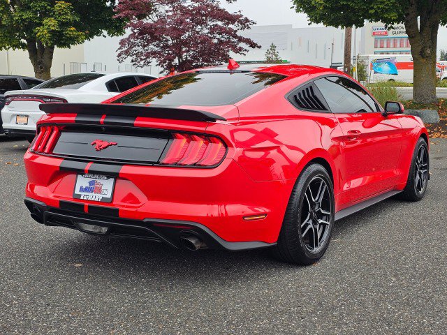 Used 2022 Ford Mustang Coupe w/ Equipment Group 101A RWD image 3