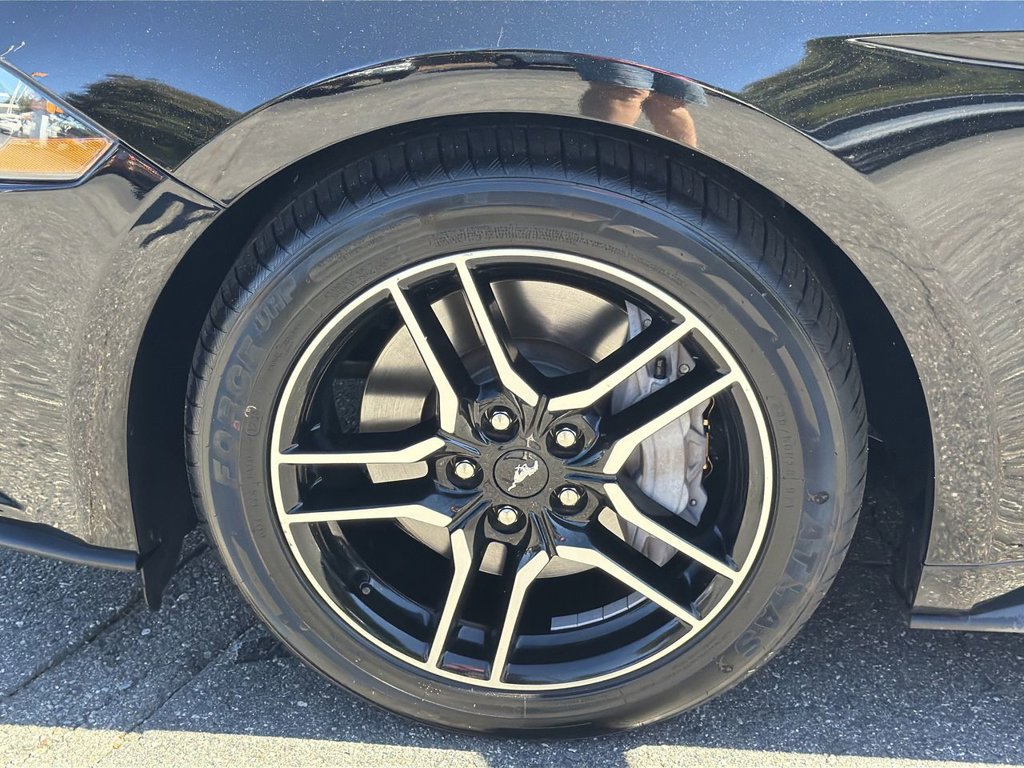 Certified 2019 Ford Mustang GT w/ Equipment Group 301A RWD image 10