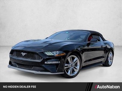 Used 2019 Ford Mustang Premium w/ Equipment Group 201A
