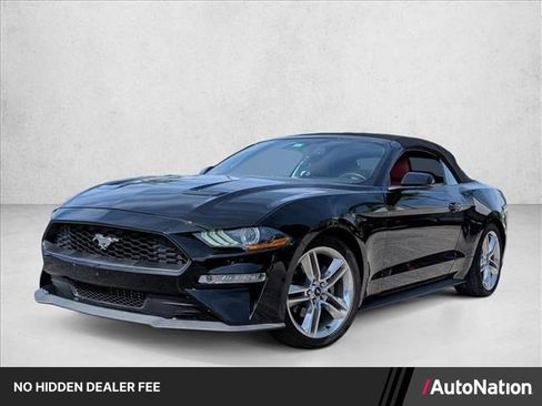 Used 2019 Ford Mustang Premium w/ Equipment Group 201A RWD image 1