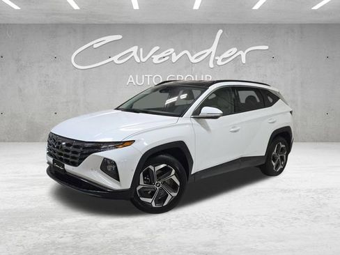 Used 2023 Hyundai Tucson Limited image 1