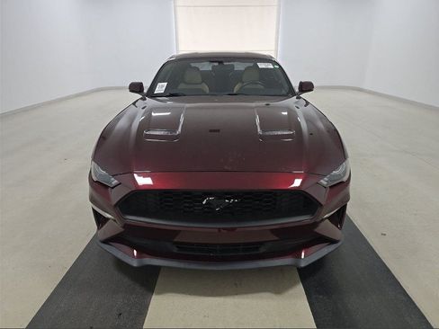 Used 2018 Ford Mustang Premium RWD image 4