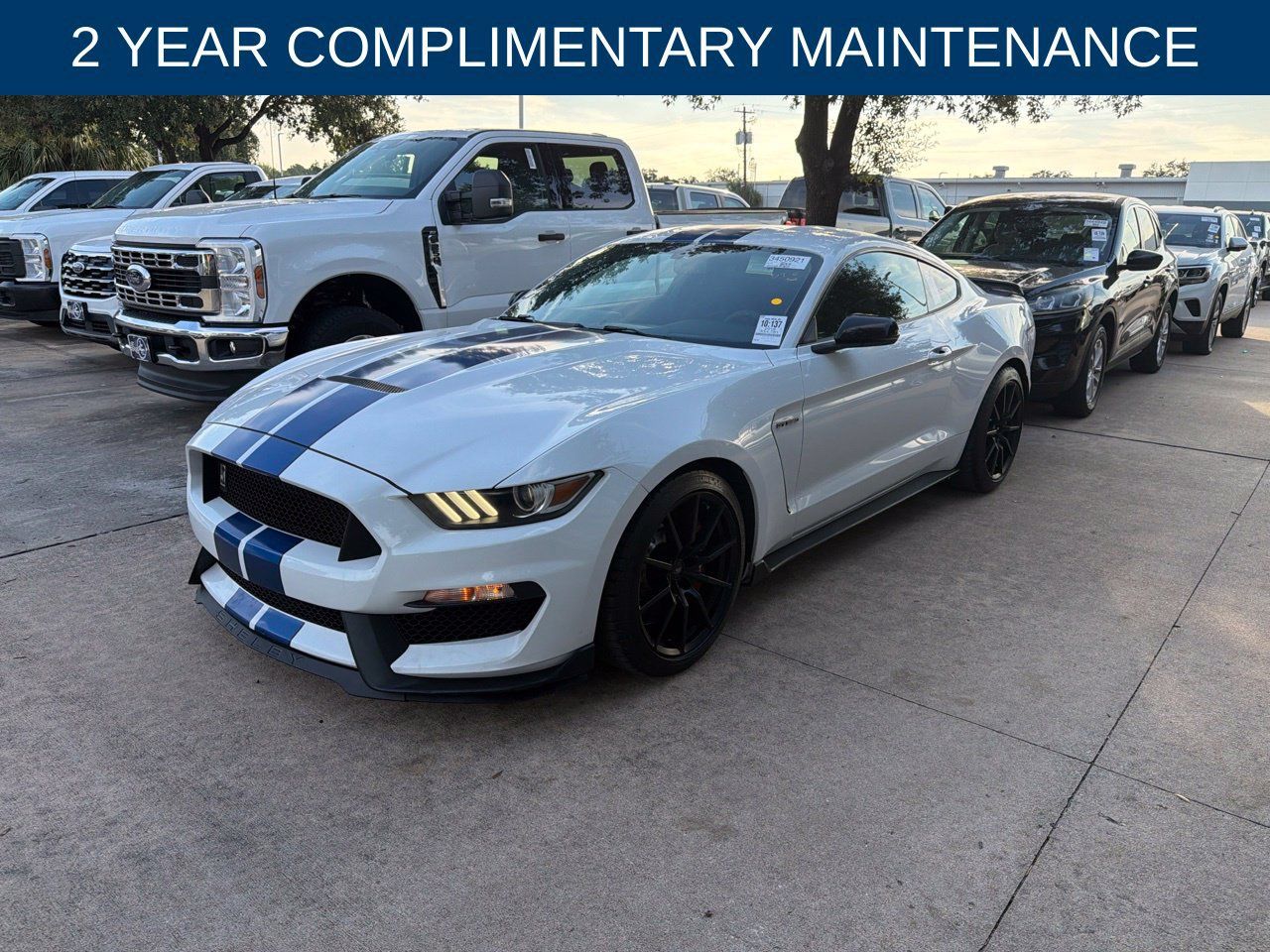 Used 2018 Ford Mustang Shelby GT350 w/ Electronics Package RWD image 1