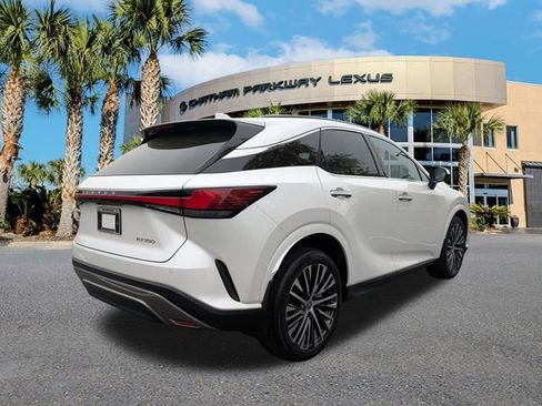 Used 2023 Lexus RX 350 Premium Plus w/ Cold Area Package image 4