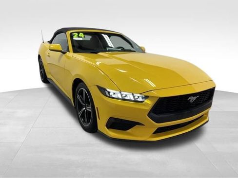 Used 2024 Ford Mustang Premium image 5