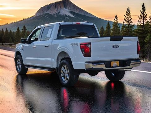 Used 2025 Ford F150 XLT w/ Equipment Group 301A Standard AWD/4WD image 5