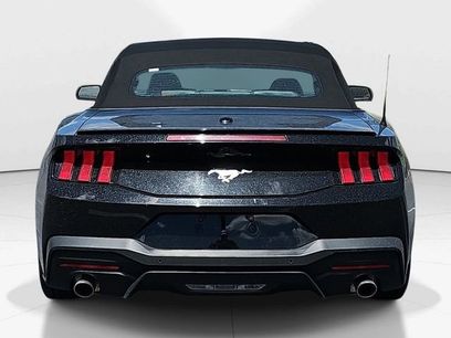 Used 2025 Ford Mustang Premium