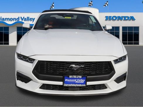 Used 2024 Ford Mustang Premium image 2